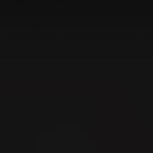 Meet your Posher, Sofia